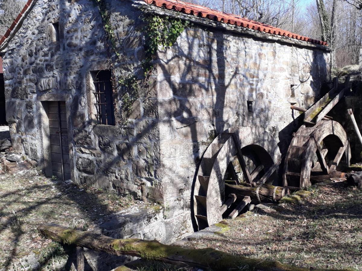 בית הארחה Gračišče 	Wine House Rakar מראה חיצוני תמונה