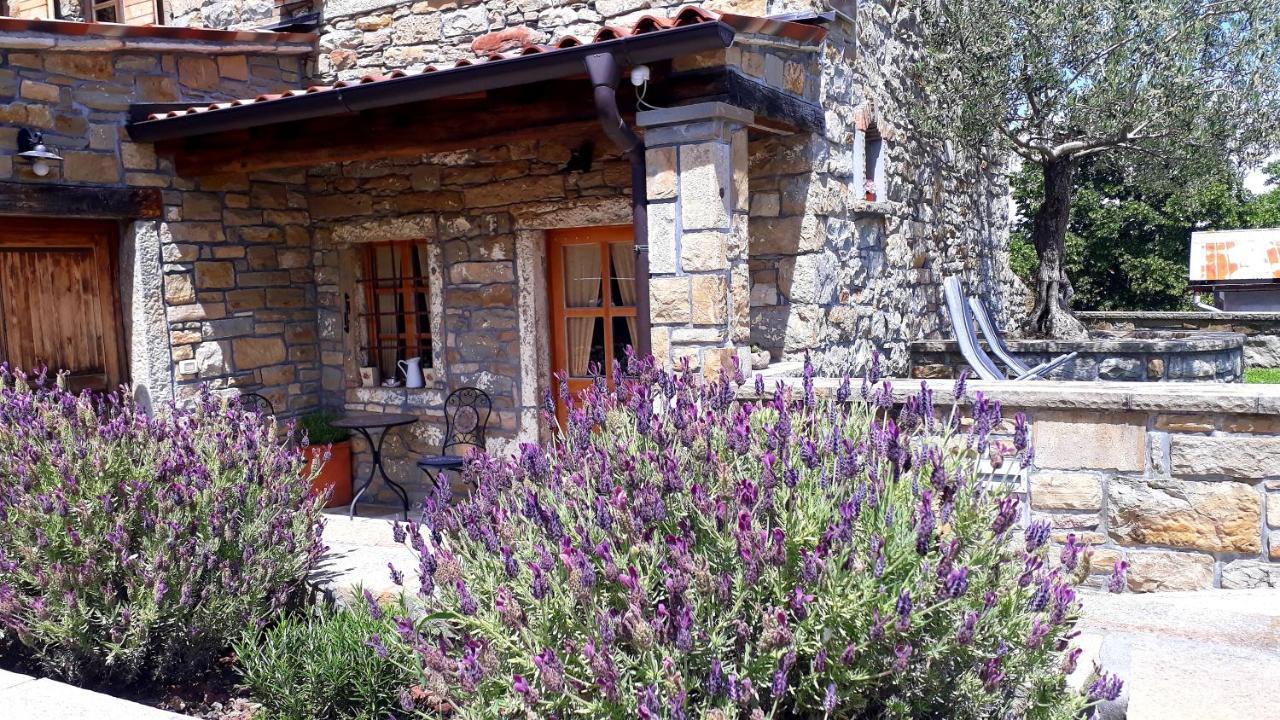 בית הארחה Gračišče 	Wine House Rakar מראה חיצוני תמונה