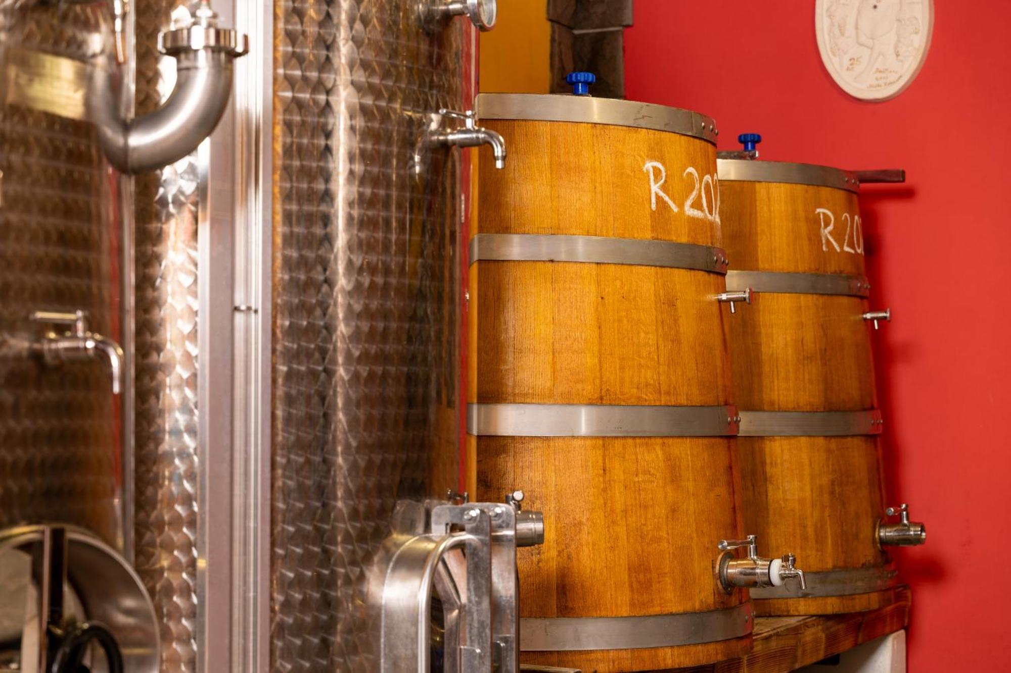 בית הארחה Gračišče 	Wine House Rakar מראה חיצוני תמונה